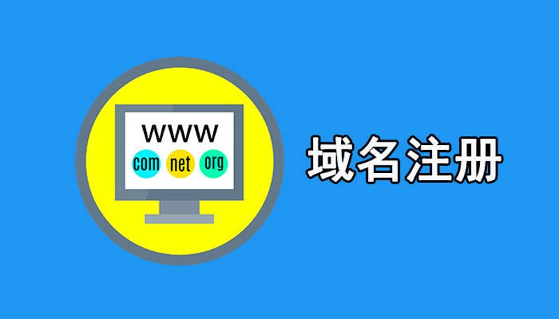 网站制作公司:构建数字桥梁的艺术